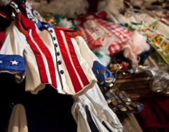 Particolare di un costume di scena
<br>Foto di Giovanna Marino