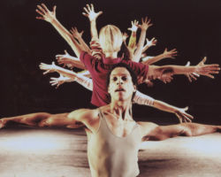 A CHORUS LINE edizione 1997/1998
<br>Foto di Sandro D'Ascanio