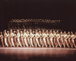 A CHORUS LINE edizione 1997/1998
<br>Foto di Sandro D'Ascanio