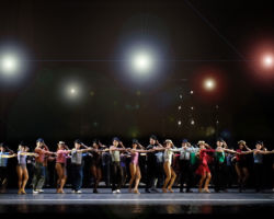 A CHORUS LINE edizione 2007/2008
<br>Foto di Antonio Agostini