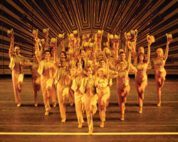 A CHORUS LINE edizione 2007/2008
<br>Foto di Antonio Agostini