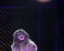 CATS edizione 2009/10
<br>Foto di Alessandro Pinna