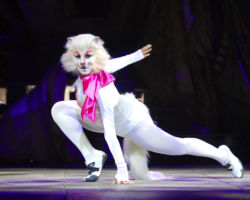 CATS edizione 2009/10
<br>Foto di Alessandro Pinna