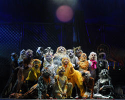 CATS edizione 2009/10
<br>Foto di Alessandro Pinna