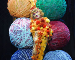 CATS edizione 2009/10
<br>Foto di Alessandro Pinna