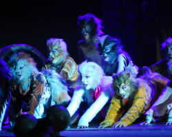 CATS edizione 2009/10
<br>Foto di Alessandro Pinna