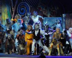 CATS edizione 2009/10
<br>Foto di Alessandro Pinna