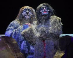 CATS edizione 2009/10
<br>Foto di Alessandro Pinna