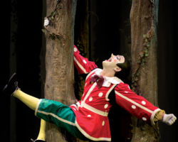 PINOCCHIO edizione 2015
<br>Foto di Alessandro Pinna