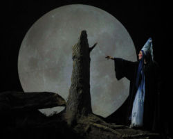 PINOCCHIO - IL GRANDE MUSICAL edizione 2002/03
<br>Foto di Sandro D'Ascanio