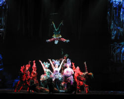 PINOCCHIO - IL GRANDE MUSICAL edizione 2002/03
<br>Foto di Sandro D'Ascanio