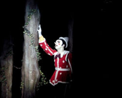 PINOCCHIO - IL GRAND EMUSICAL edizione 2004/05
<br>Foto di Antonio Agostini